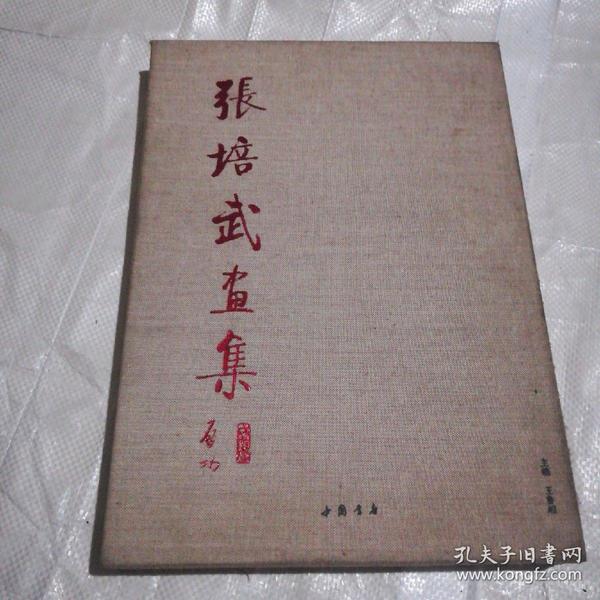 张绘武将军的最新动态，2016年最新消息揭秘