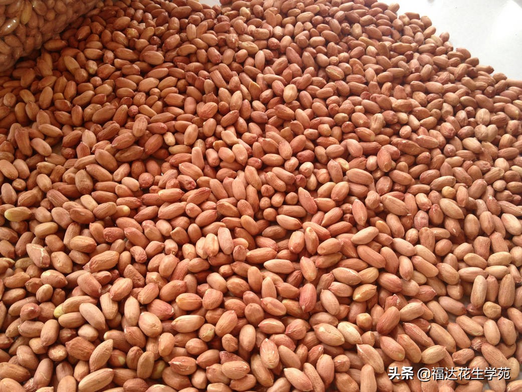 辽宁花生米最新价格行情,实地数据评估分析_视频版5.98.122