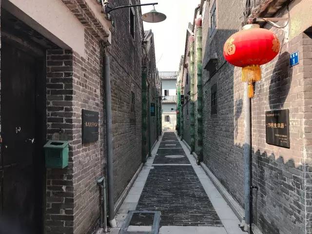 国家最新时政下的独特小巷风情与隐藏瑰宝