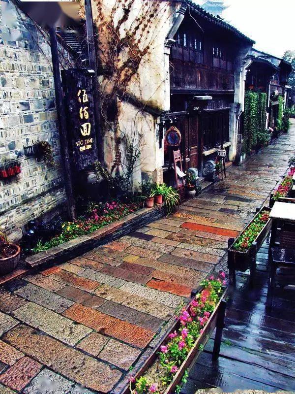 国家最新时政下的独特小巷风情与隐藏瑰宝