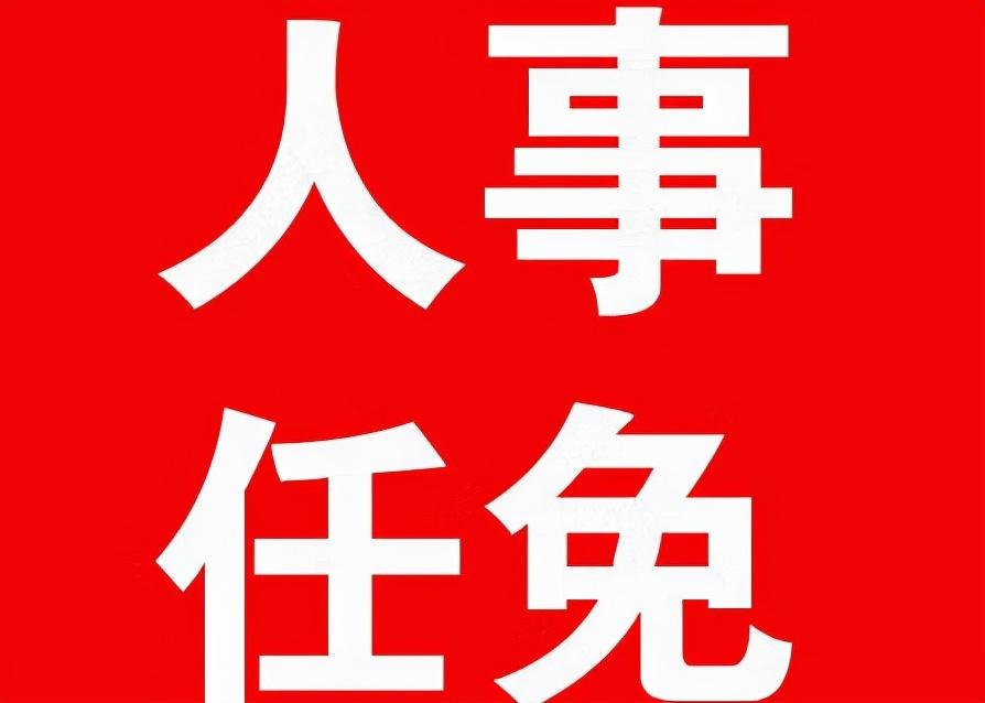 山西省最新人事调整引领变革，科技重塑未来，前沿高科技魅力展现