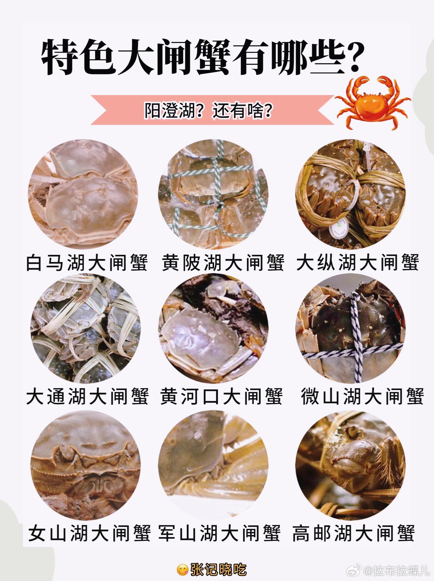 ​天津螃蟹价格最新行情🦀🔍全面解析！🎉