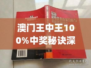 澳门王中王100%期期中,专家解说解释定义_KHH35.260收藏版