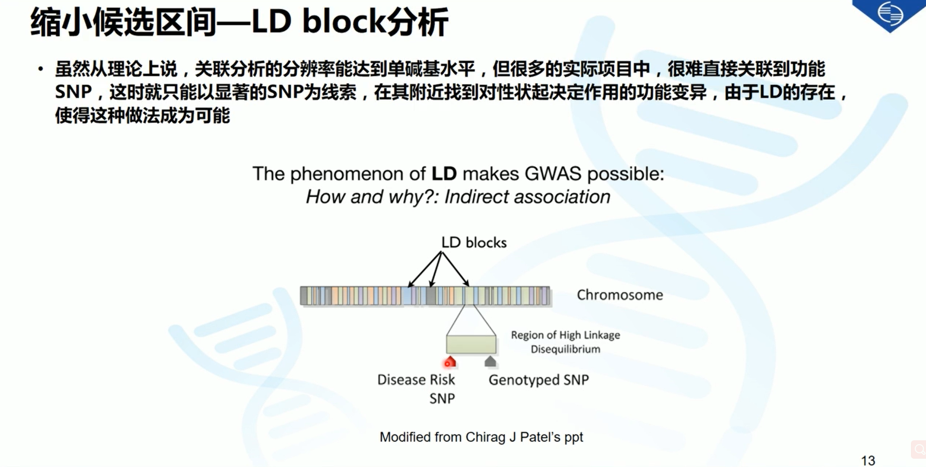 新奥精准资料免费提供,理论研究解析说明_Gold20.424