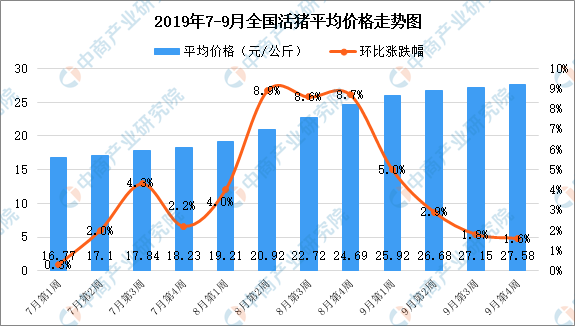 今日猪肉价格，市场波动下的多元观点